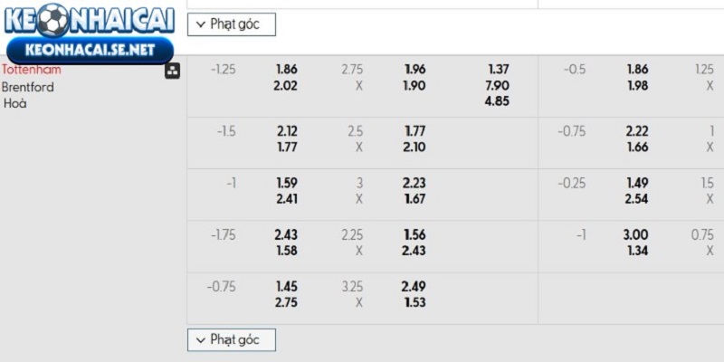 Tỷ lệ rate nhà cái Tottenham Hotspur vs Brentford