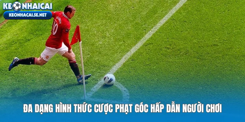 Đa dạng hình thức cược phạt góc hấp dẫn người chơi