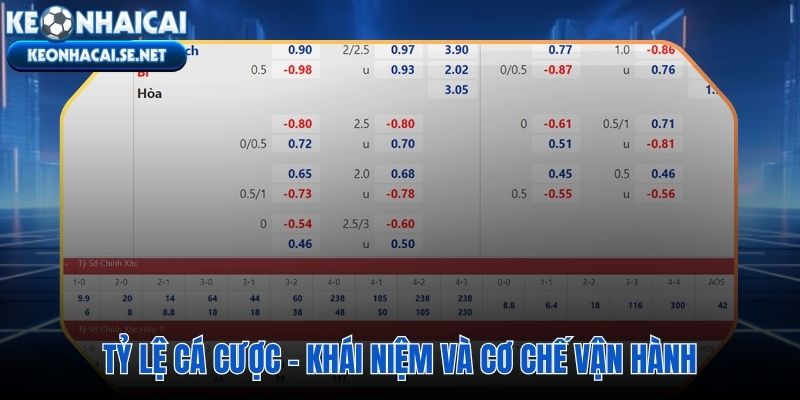 Tỷ lệ cá cược và margin ẩn nhà cái tích hợp vào từng con số