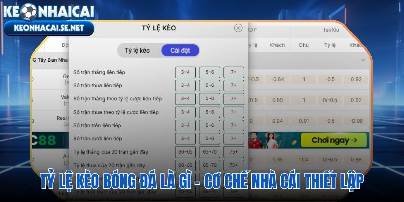 Tỷ lệ kèo bóng đá và cơ chế cân bằng dòng tiền hai chiều